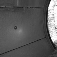 Trunnion liners