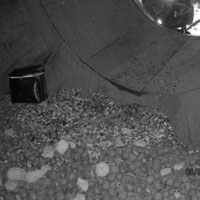 Trunnion liners
